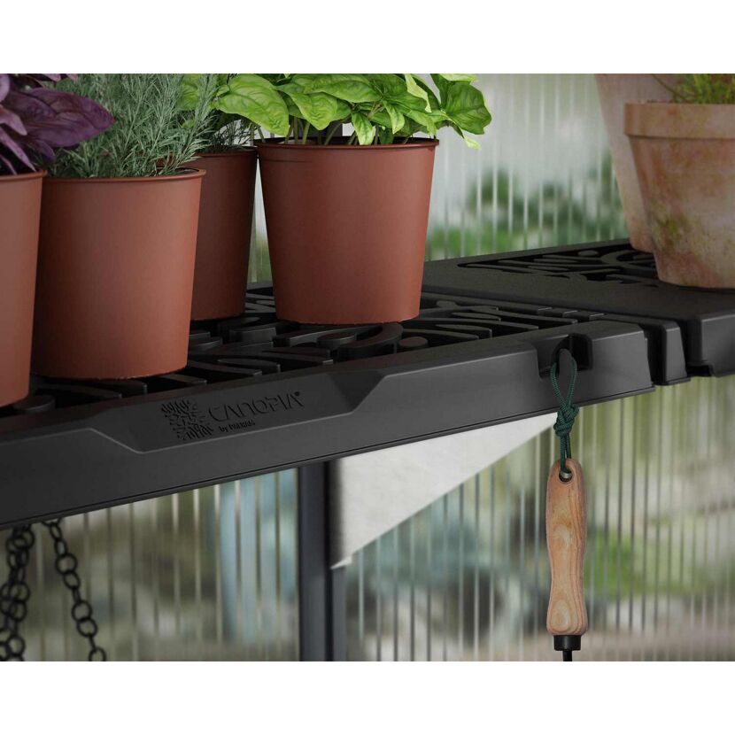 Regalset für Gewächshaus anthrazit 26 x 65 cm Polypropylen, 8er-Pack