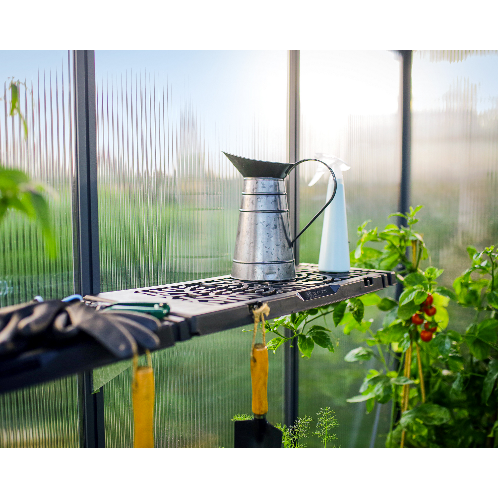 Regalset für Gewächshaus anthrazit 26 x 65 cm Polypropylen, 8er-Pack