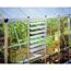Seitliches Lamellenfenster für Gewächshaus silber 61 x 64 cm Polycarbonat