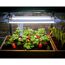 Vollspektrum LED-Wachstumslicht für Gewächshaus 20 W, 61 cm