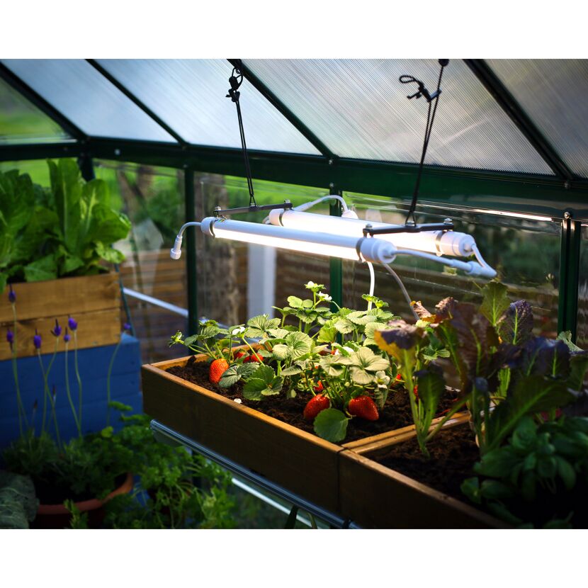 Vollspektrum LED-Wachstumslicht für Gewächshaus 20 W, 61 cm