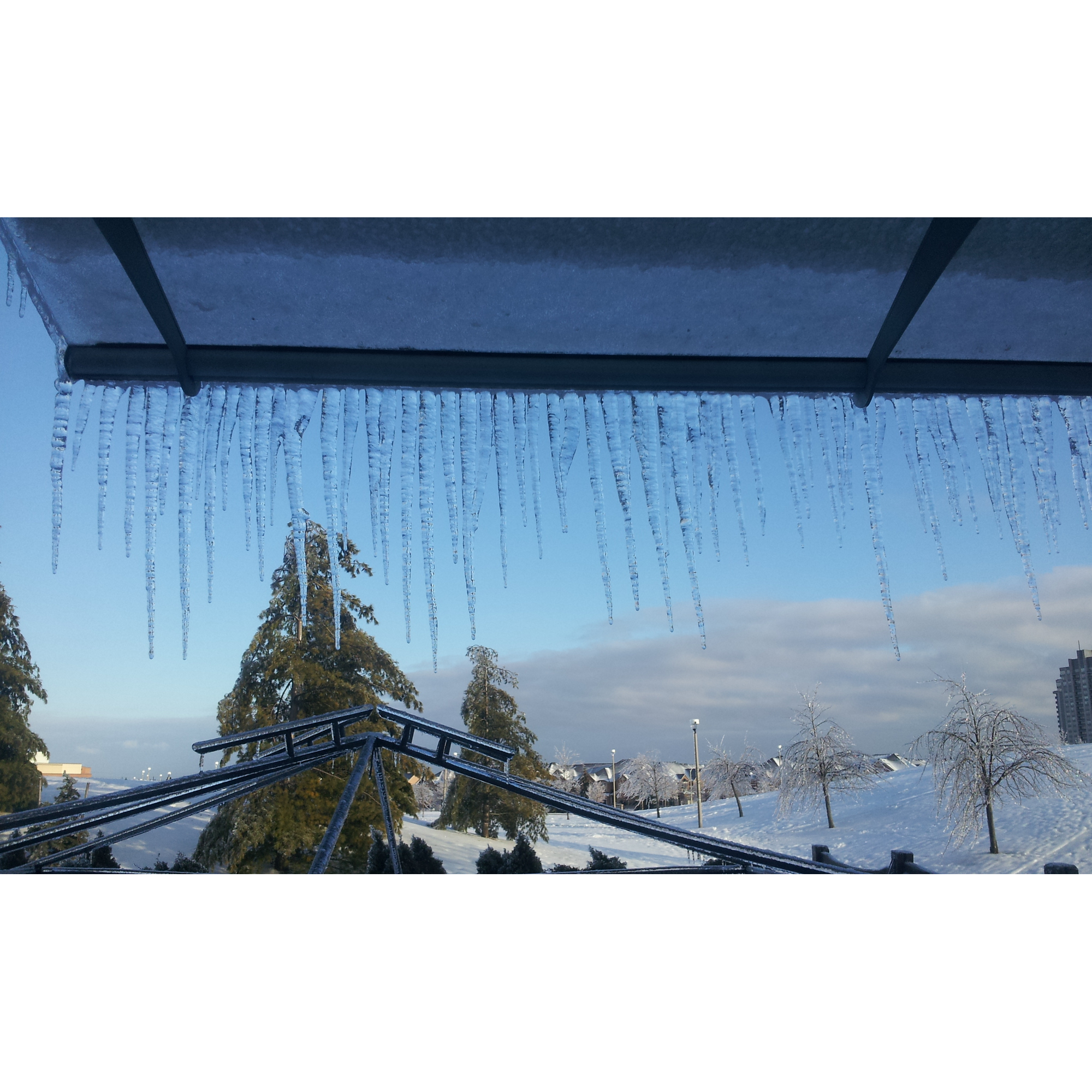 Vordach 'Aquila' anthrazit 91,5 x 205,5 cm Acrylglas klar