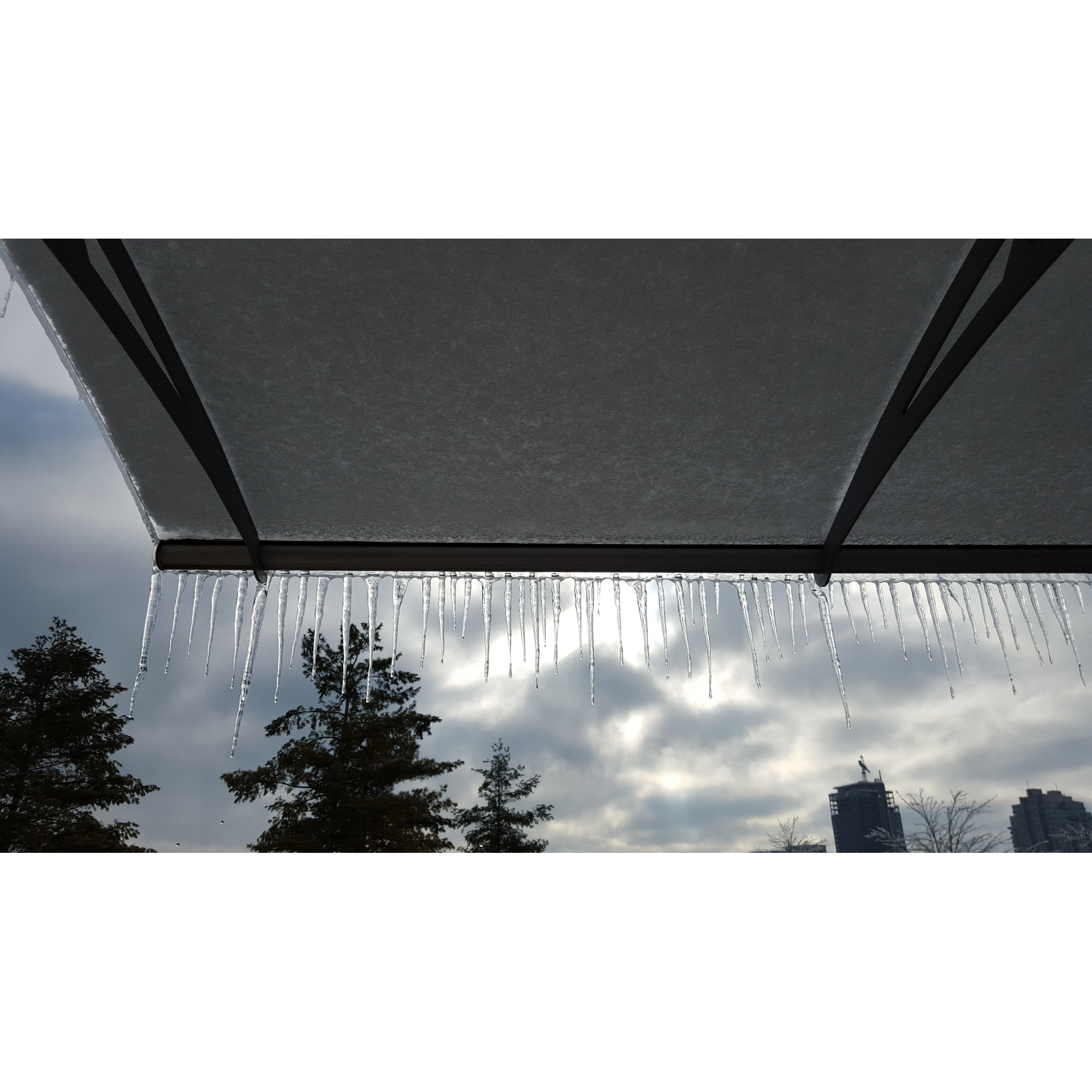 Vordach 'Aquila' anthrazit 91,5 x 205,5 cm Acrylglas klar