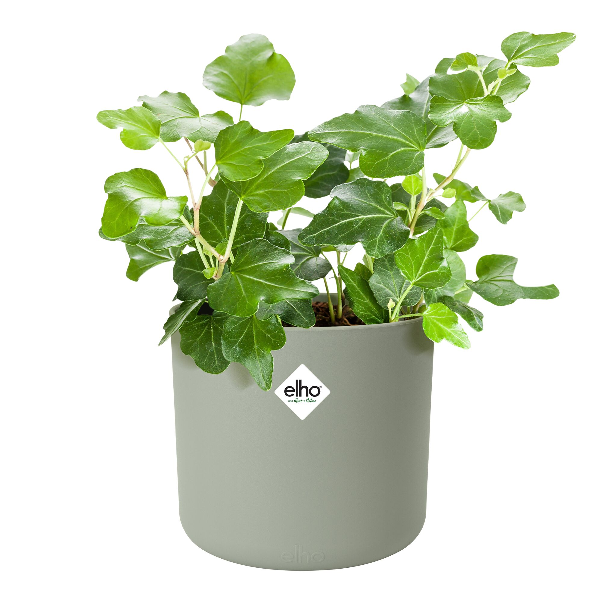 Übertopf 'B. for Soft Rund' Kunststoff grün Ø 14 cm