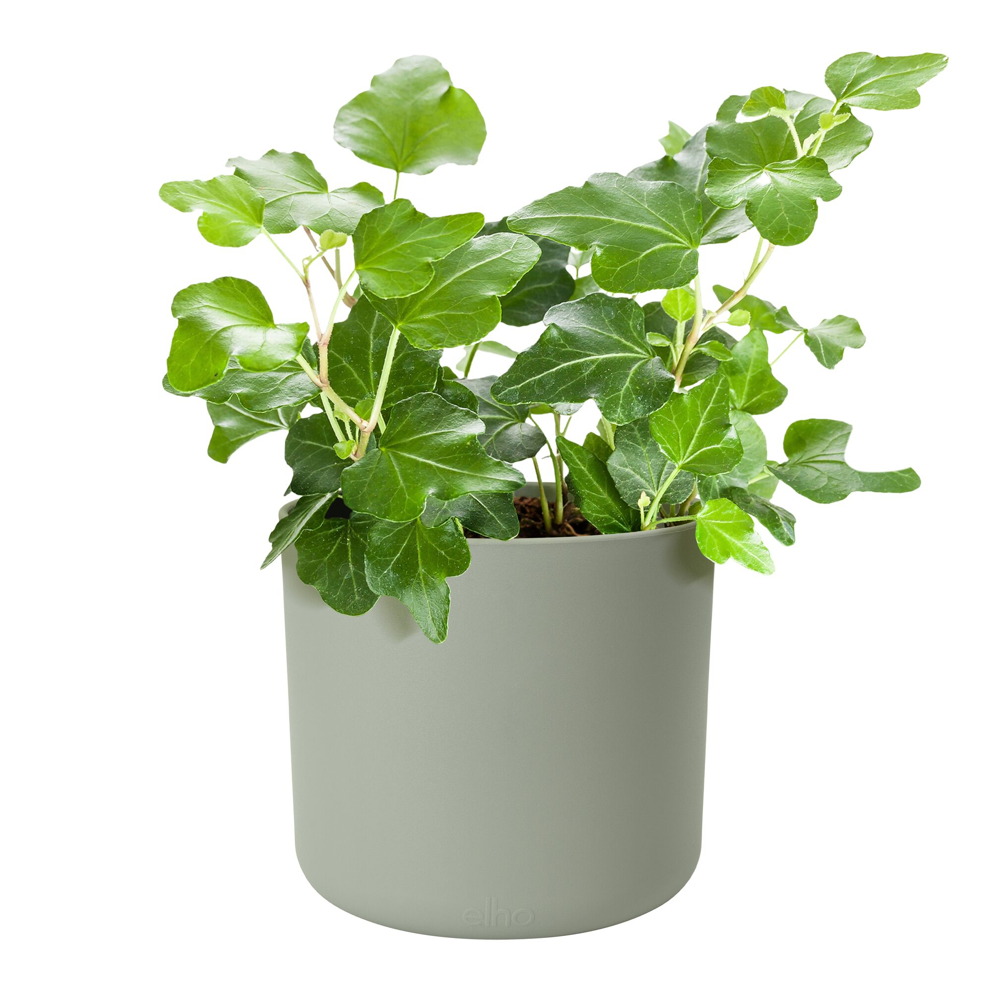 Übertopf 'B. for Soft Rund' Kunststoff grün Ø 14 cm