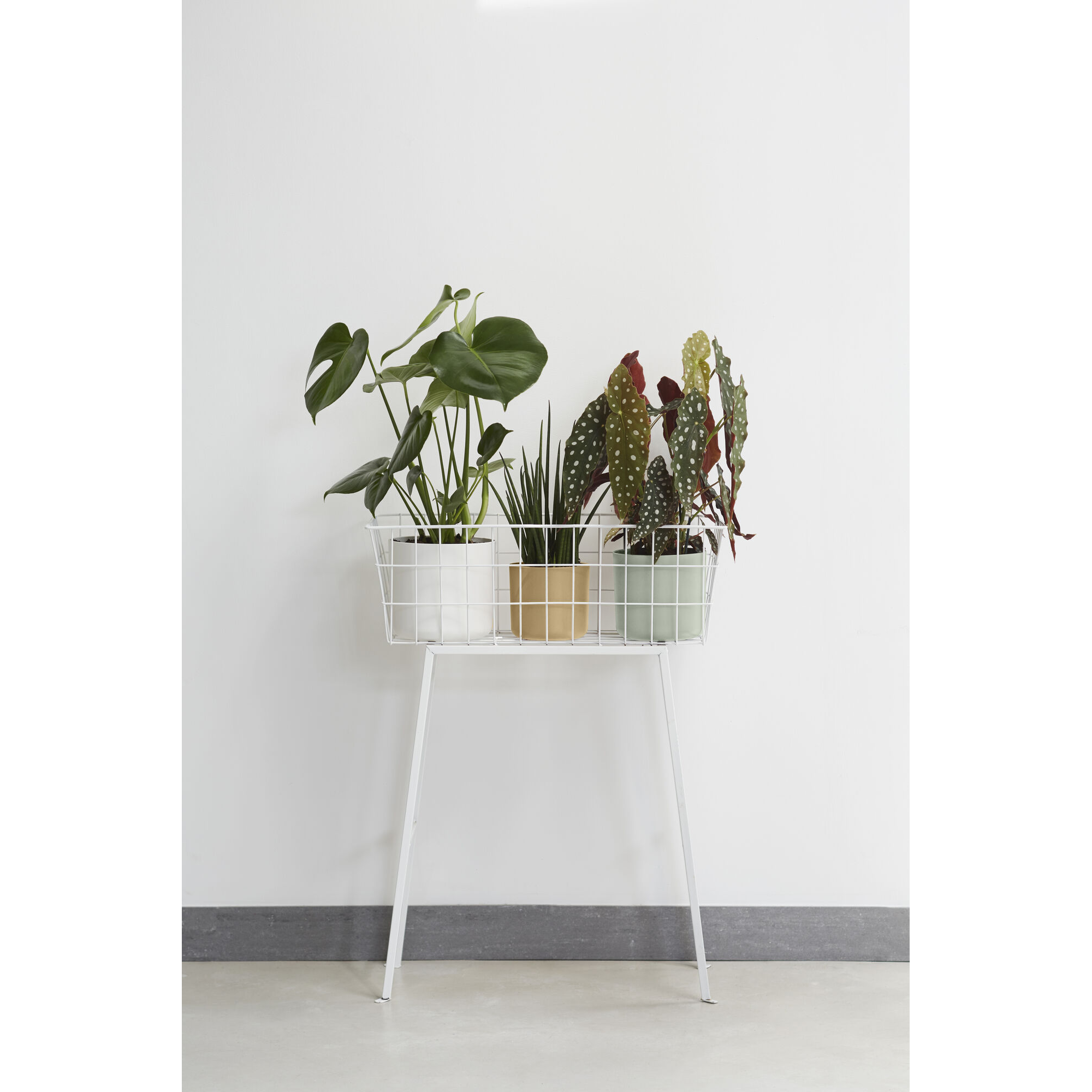 Übertopf 'B. for Soft Rund' Kunststoff grün Ø 14 cm