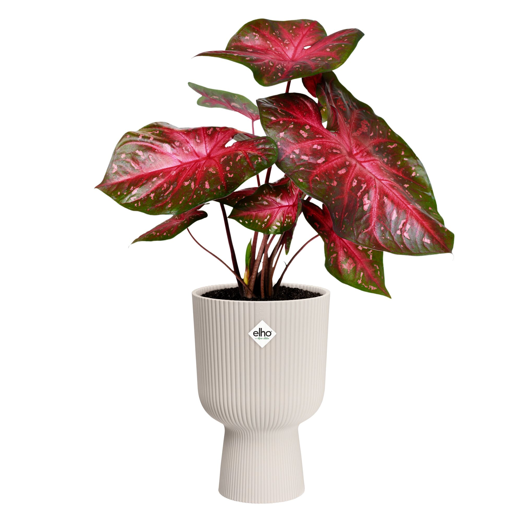 Übertopf 'Vibes Fold Coupe' Kunststoff weiß Ø 14 cm