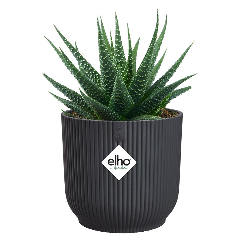 Übertopf 'Vibes Fold Rund Mini' Kunststoff schwarz Ø 11 cm