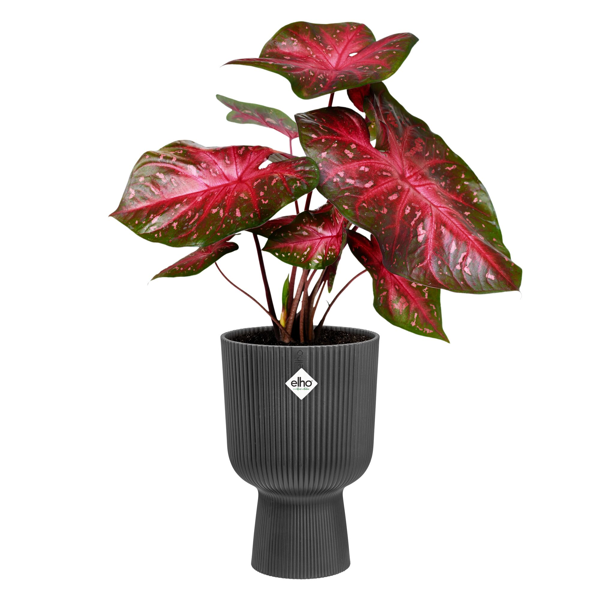 Übertopf 'Vibes Fold Coupe' Kunststoff schwarz Ø 14 cm