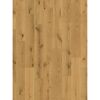 Parkett 'Basic 11-5'  Character Eiche Chianti natur lackversiegelt matt 11,5 mm