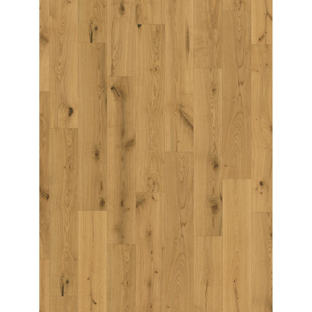 Parkett 'Basic 11-5'  Character Eiche Chianti natur lackversiegelt matt 11,5 mm