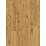 Parkett 'Basic 11-5'  Character Eiche Chianti natur lackversiegelt matt 11,5 mm