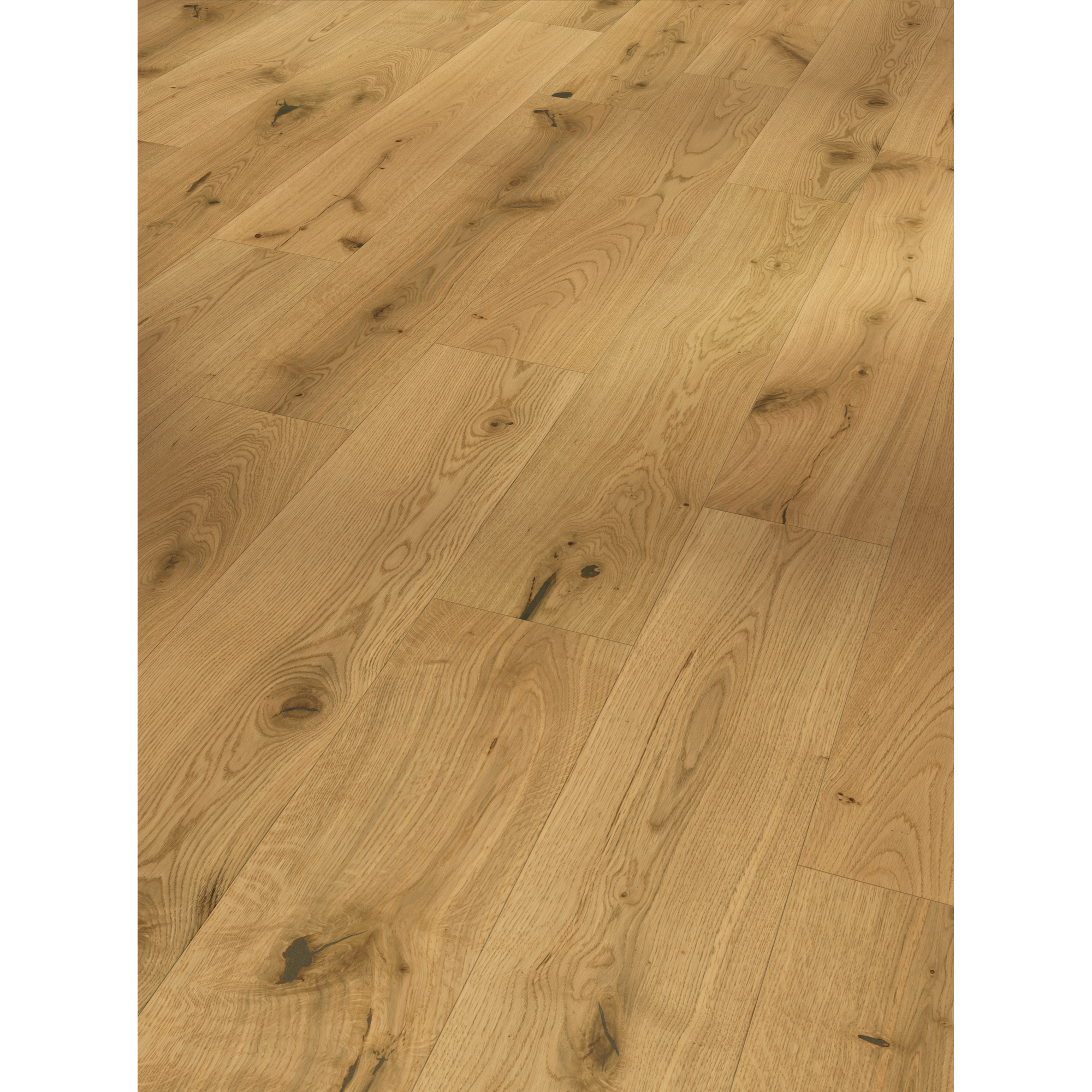 Parkett 'Basic 11-5'  Character Eiche Chianti natur lackversiegelt matt 11,5 mm