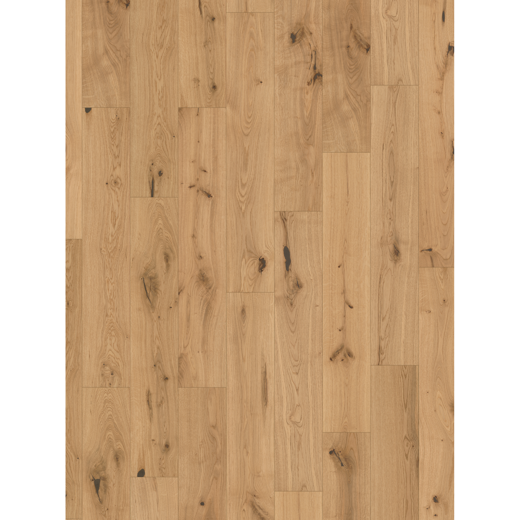 Parkett 'Basic 11-5' Eiche Chianti leicht geweißt lackversiegelt matt 11,5 mm