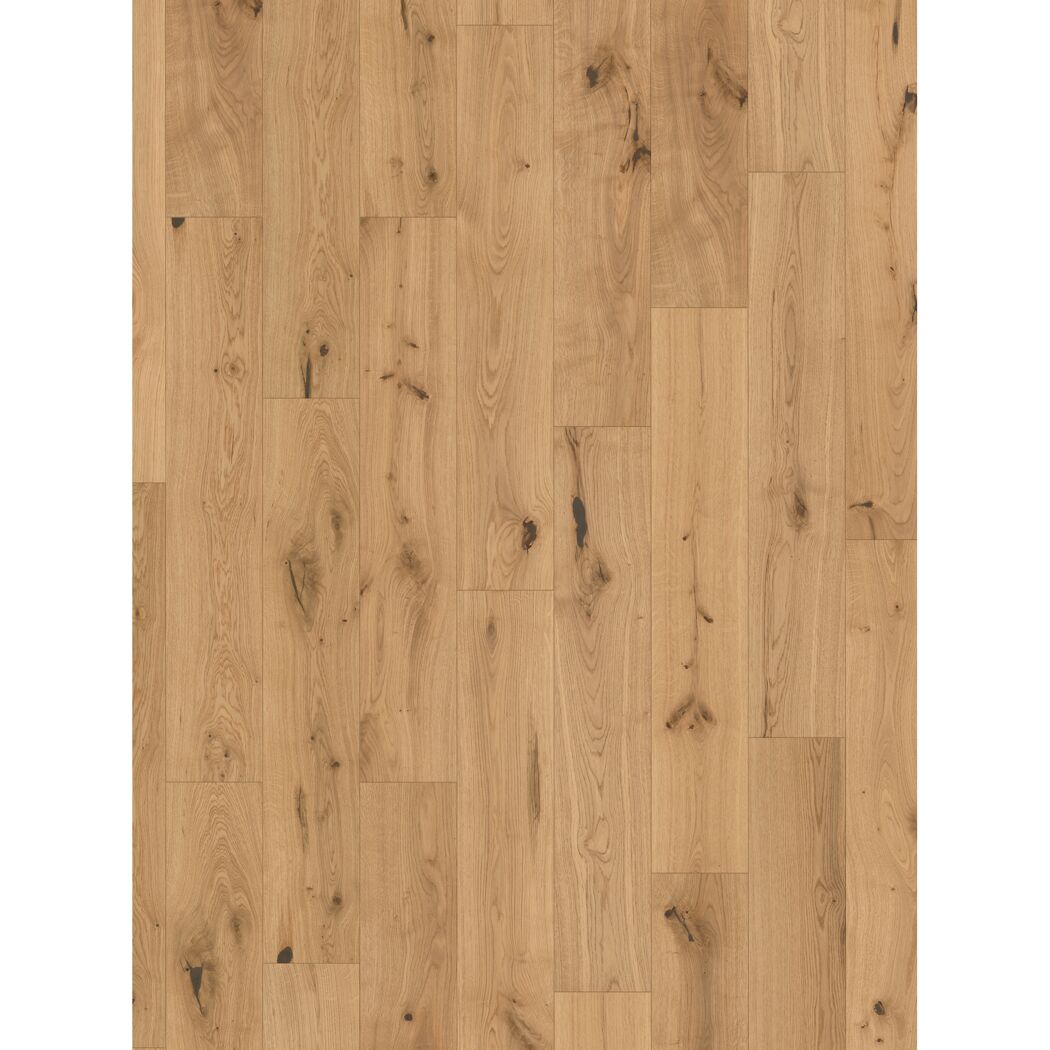 Parkett 'Basic 11-5' Eiche Chianti leicht geweißt lackversiegelt matt 11,5 mm