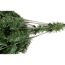 Künstlicher Weihnachtsbaum 'Oxford' Kiefer mit Ständer Ø 124 x 210 cm