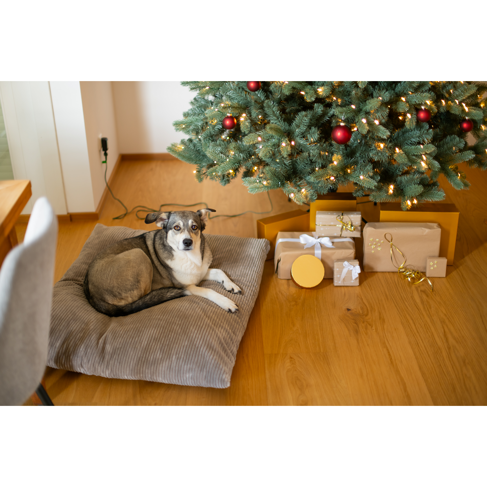 Künstlicher Weihnachtsbaum 'Vermont' Fichte mit 700 LEDs in warmweiß, Ständer Ø 160 x 240 cm