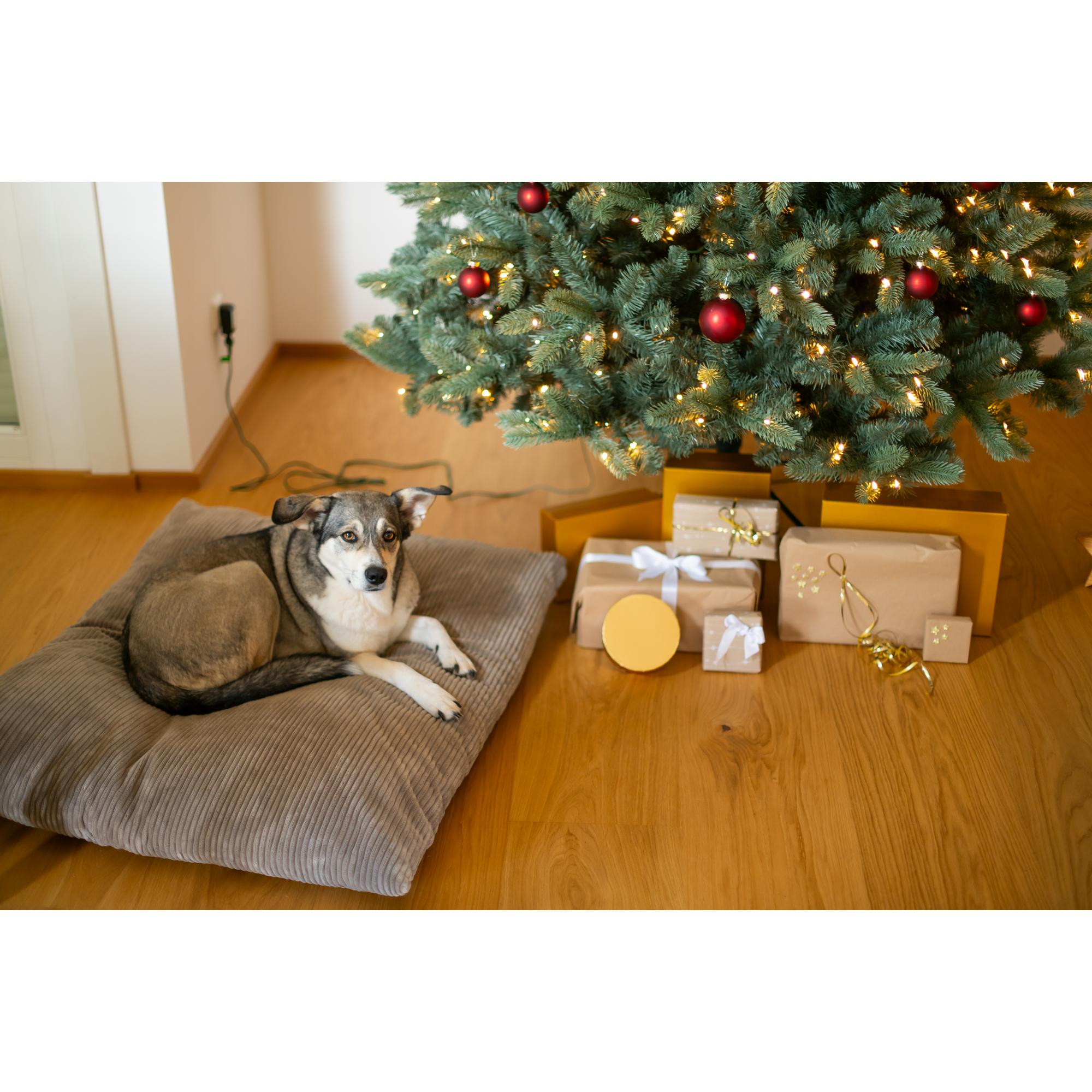 Künstlicher Weihnachtsbaum 'Vermont' Fichte mit 500 LEDs in warmweiß, Ständer Ø 150 x 210 cm