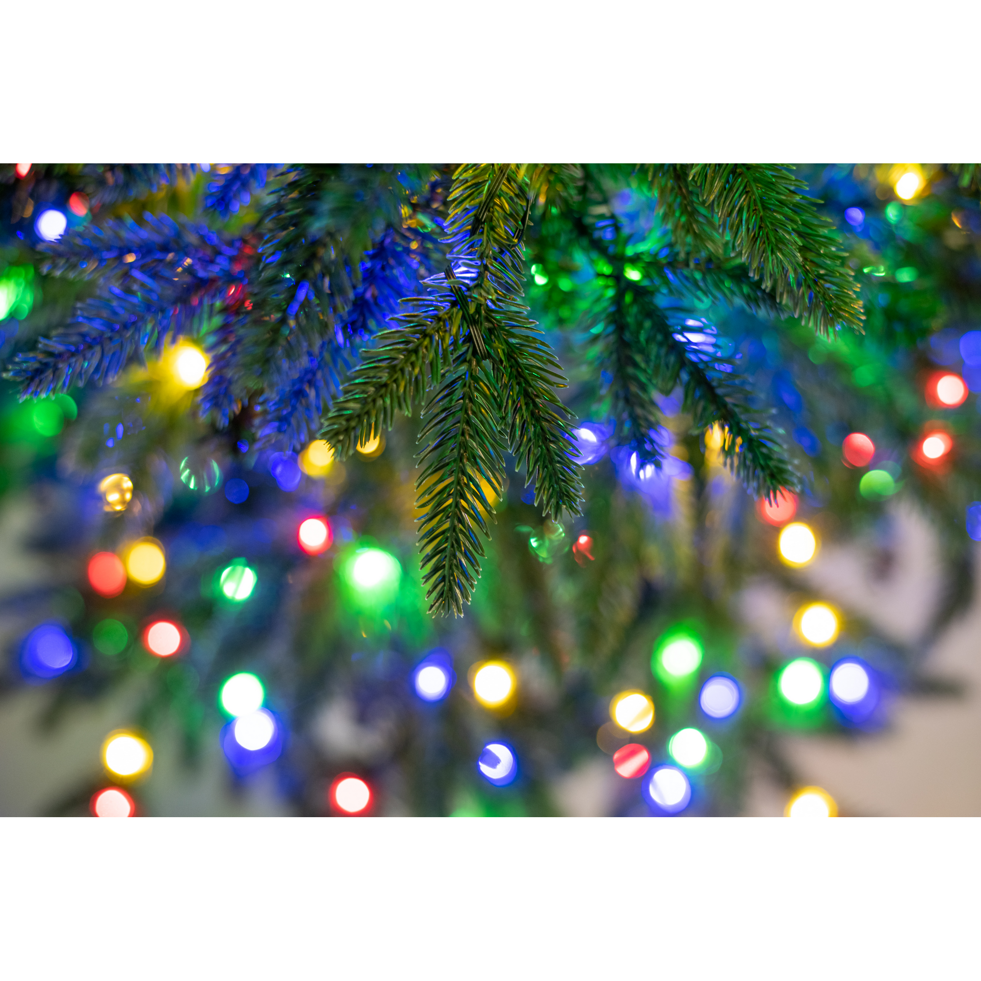 Künstlicher Weihnachtsbaum 'Sherwood' Fichte mit 450 LEDs in warmweiß/bunt, Fernbedienung, Ständer Ø 104 x 150 cm