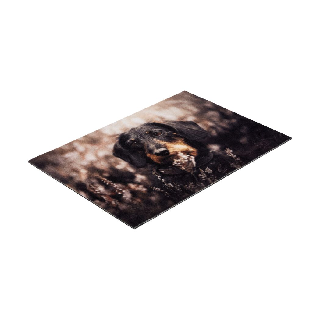 Fußmatte 'Deco Print' ca. 40 x 60 cm Dackel