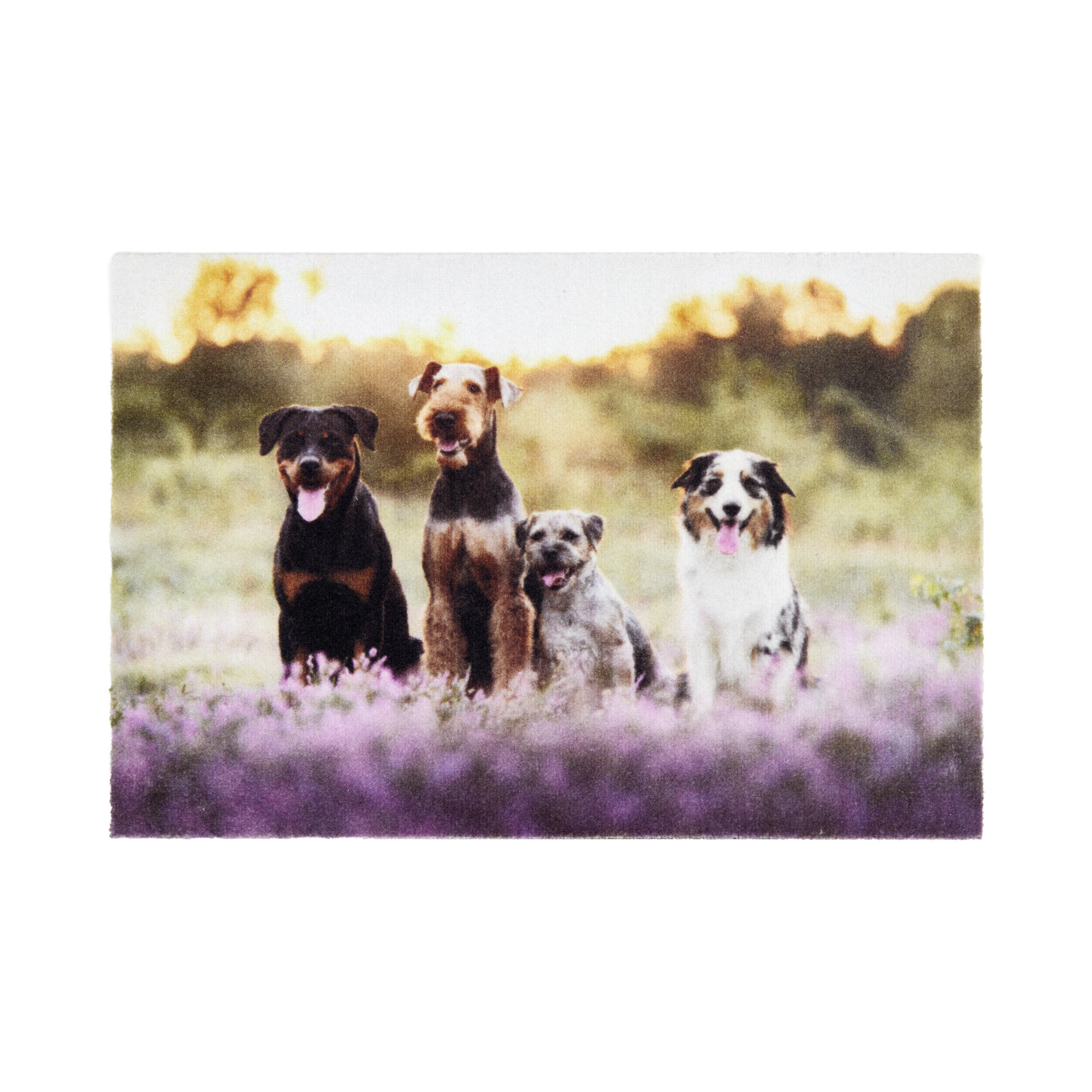 Fußmatte 'Deco Print' ca. 40 x 60 cm Hunde