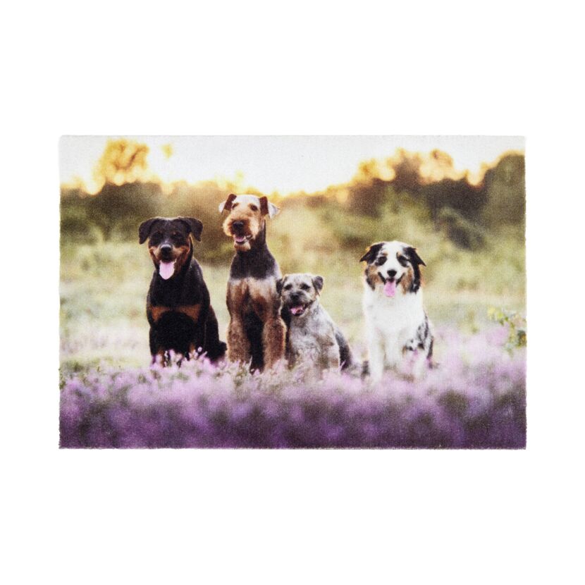 Fußmatte 'Deco Print' ca. 40 x 60 cm Hunde
