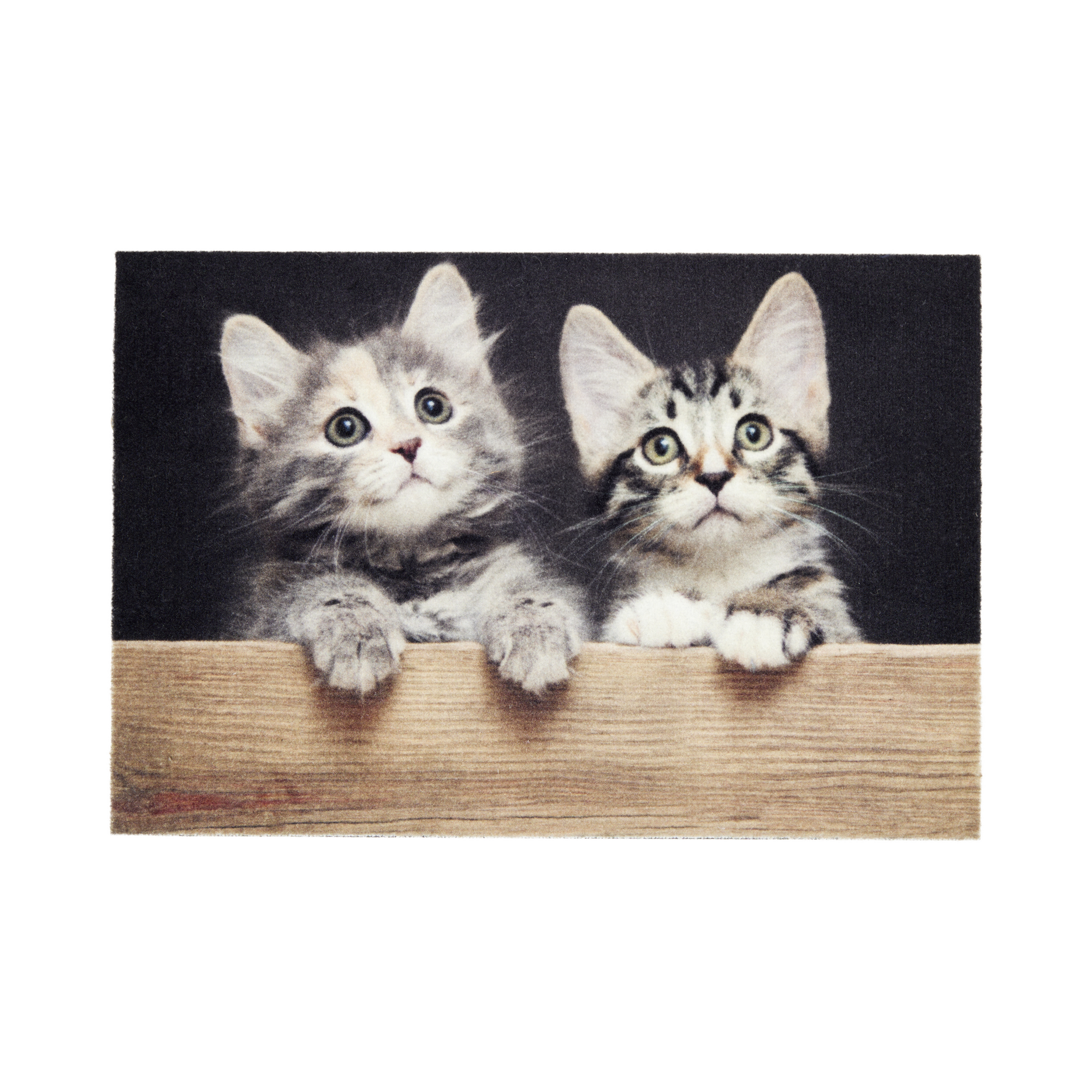 Fußmatte 'Deco Print' ca. 40 x 60 cm Katzen Holz
