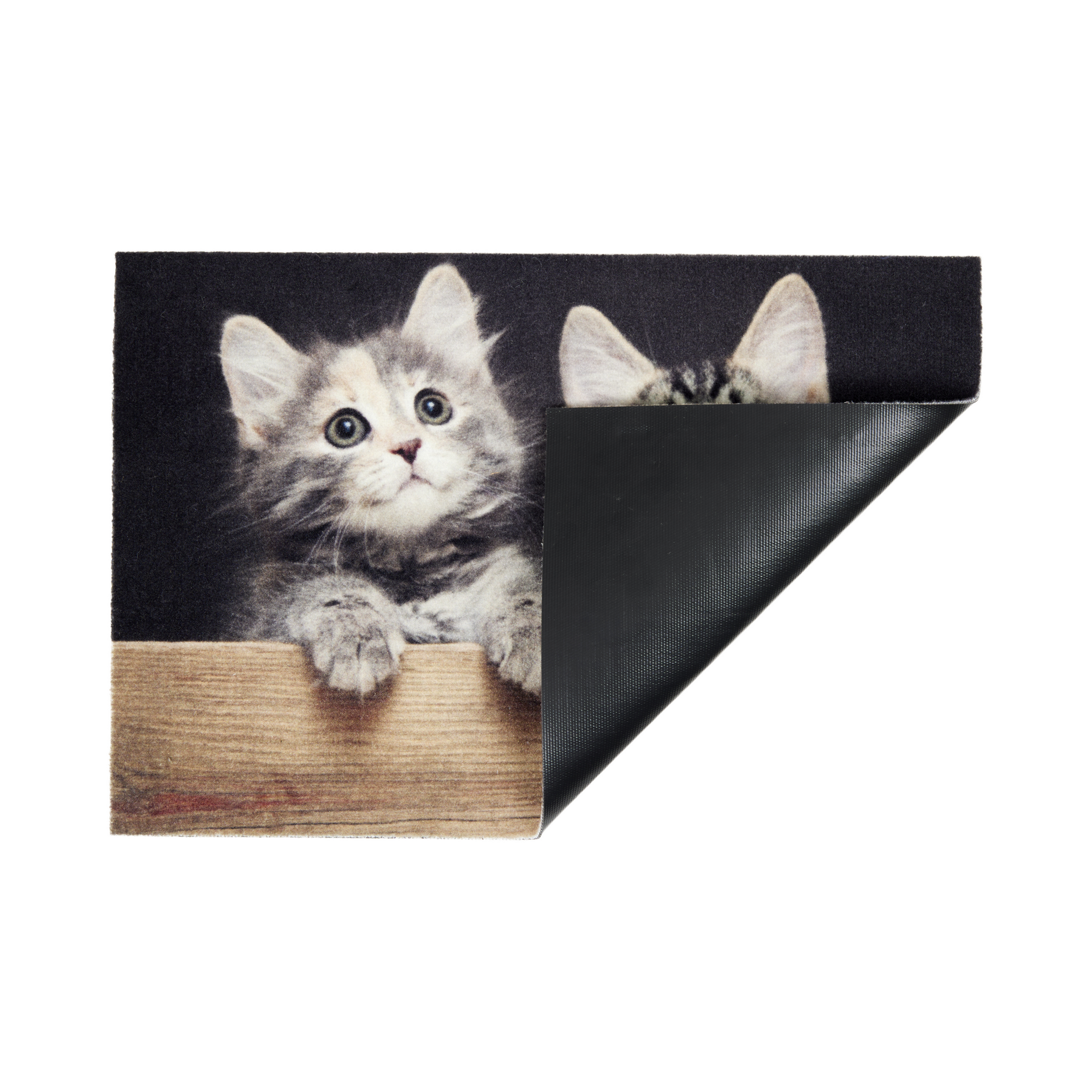Fußmatte 'Deco Print' ca. 40 x 60 cm Katzen Holz