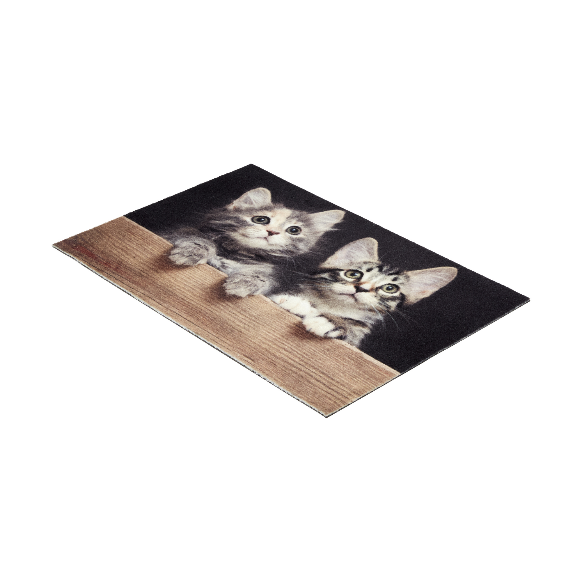 Fußmatte 'Deco Print' ca. 40 x 60 cm Katzen Holz