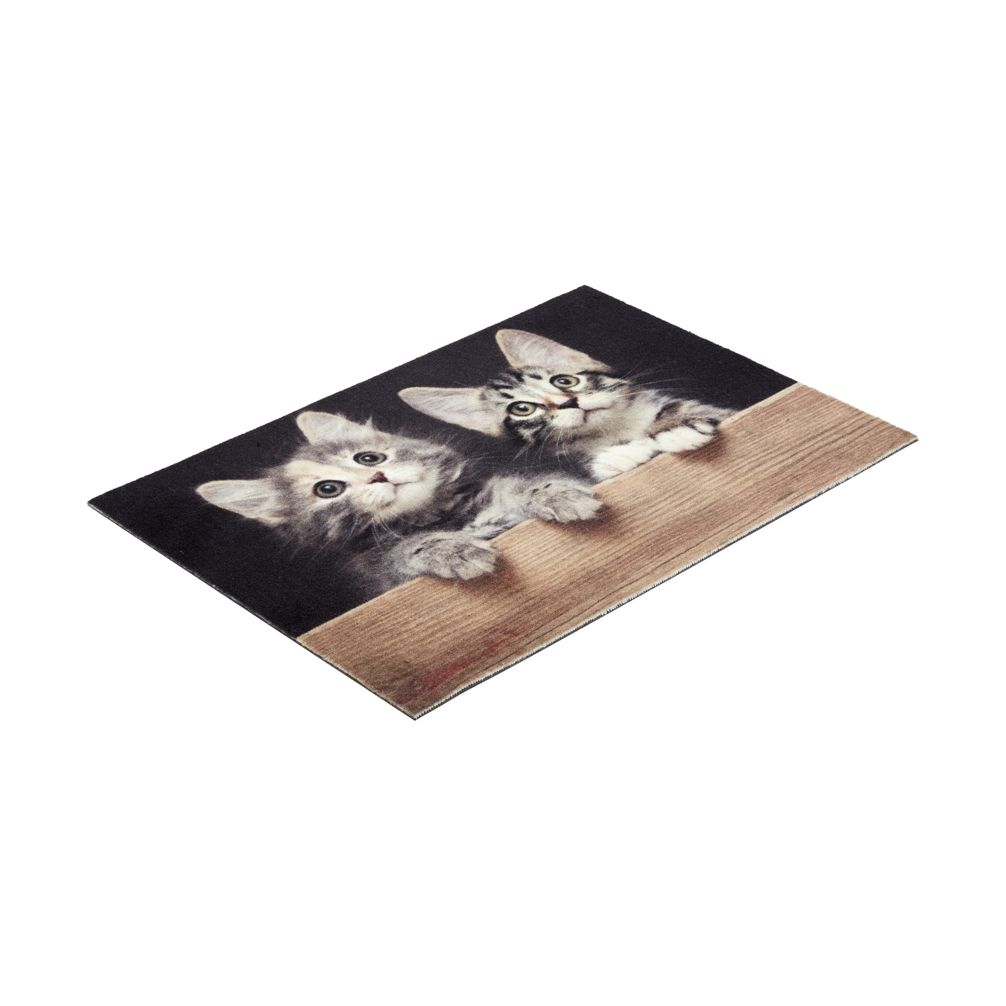 Fußmatte 'Deco Print' ca. 40 x 60 cm Katzen Holz
