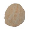 Trittplatte 'T-Court Trittst Mini' Beton sandweiß 40 x 30 x 3 cm