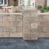 Mauerstein 'T-Wall Easy' Beton muschelkalkfarben 40 x 20 x 20 cm