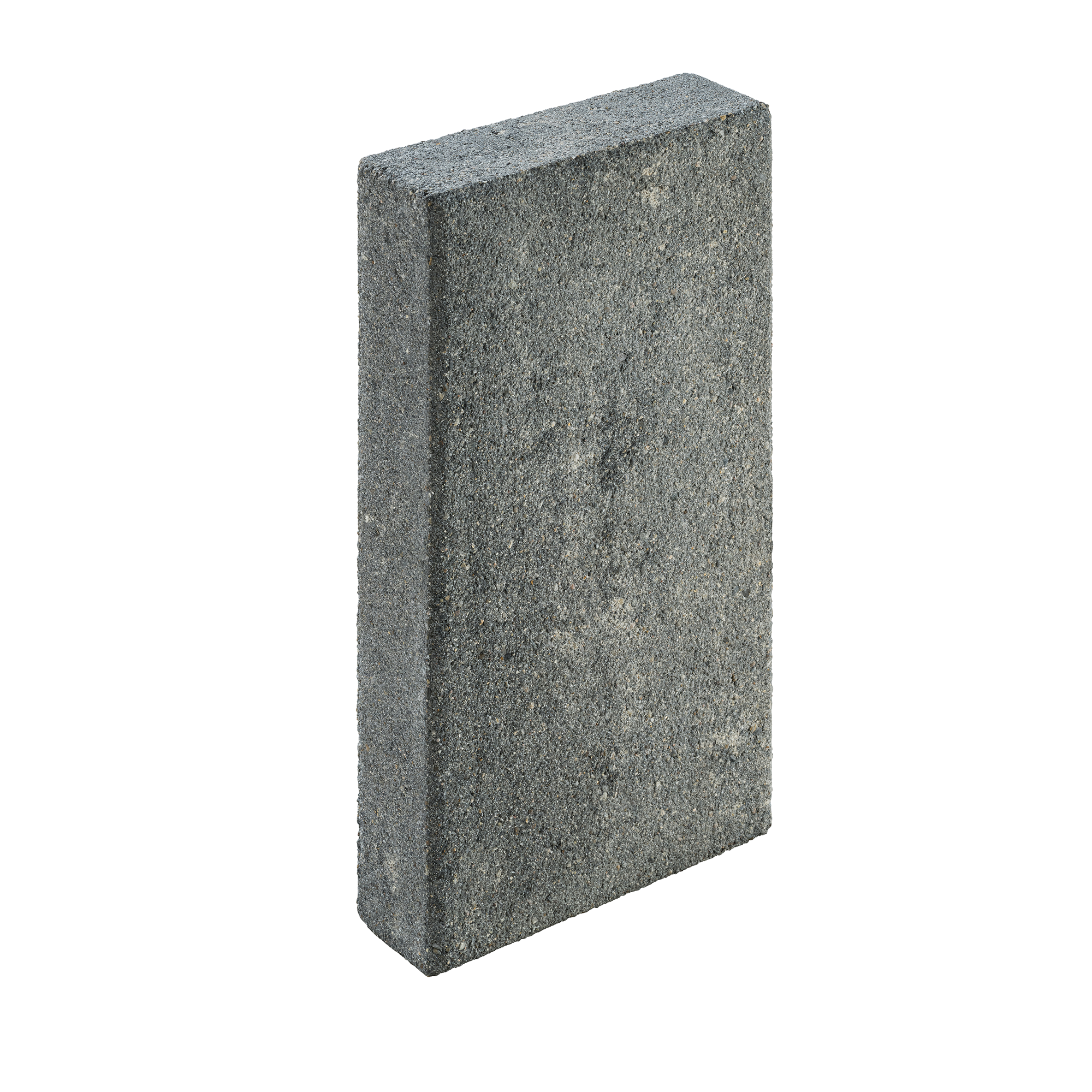 Palisade 'T-Fence Velvet' Beton graphitfarben 50 x 25 x 8 cm