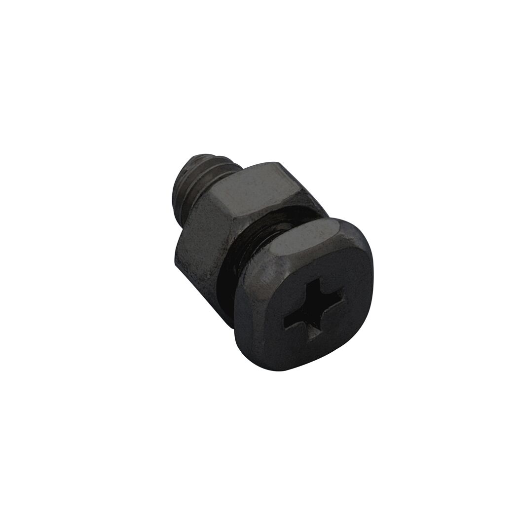 Schrauben- und Mutternsatz Stahl Viereckkopf schwarz 10er-Pack