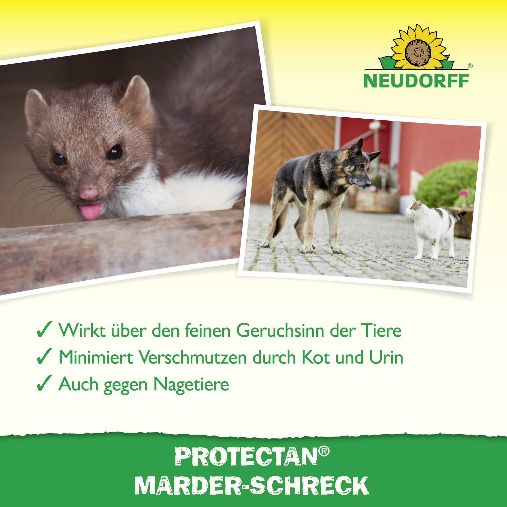 Marder-Schreck 'Protectan' 200 g