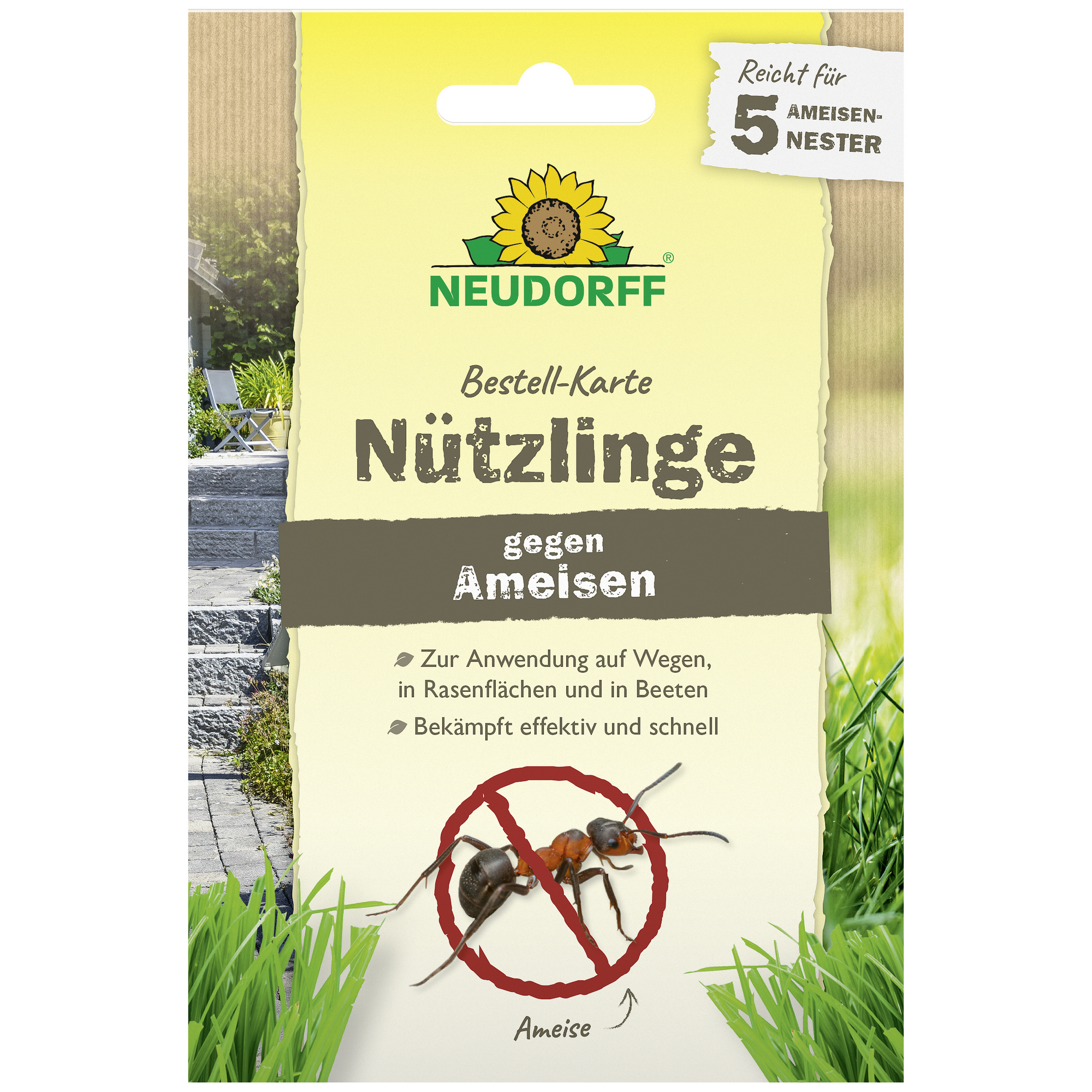 Bestell-Karte Nützlinge gegen Ameisen