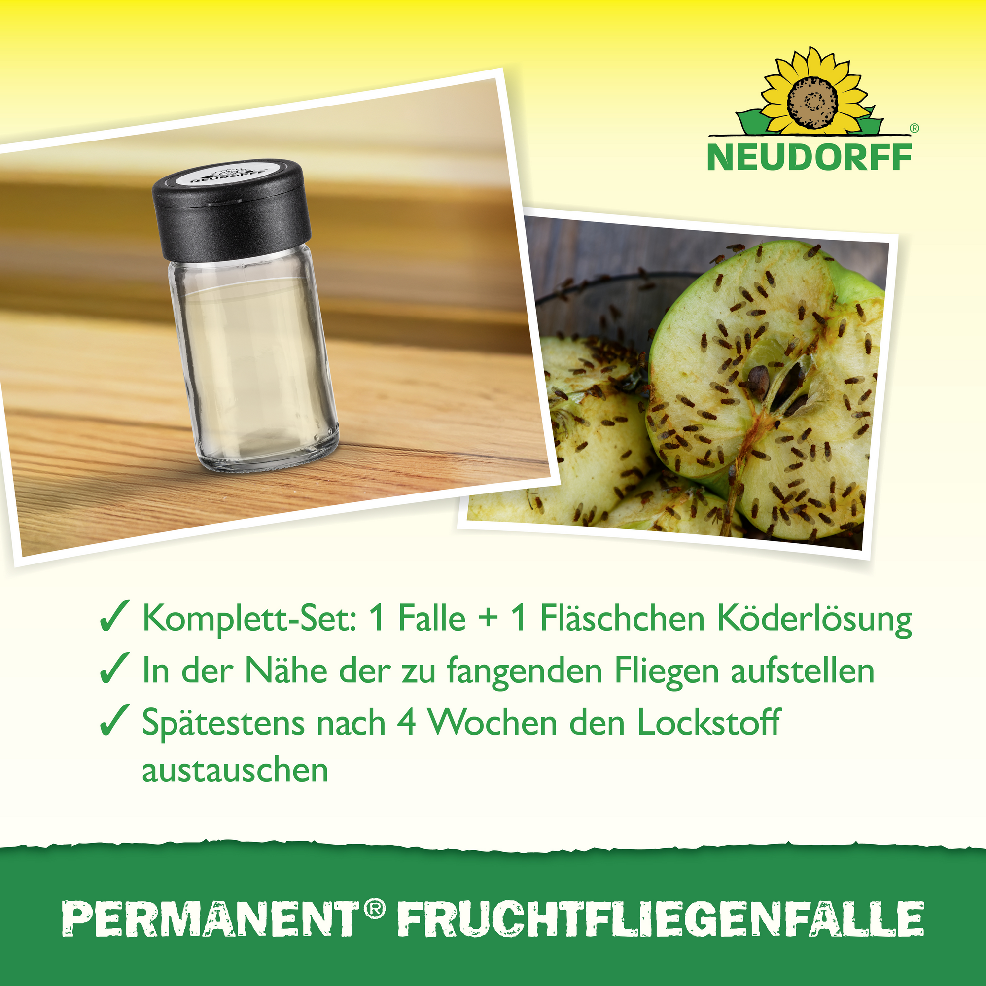 Fruchtfliegenfalle 'Permanent' nachfüllbar 1 Stück