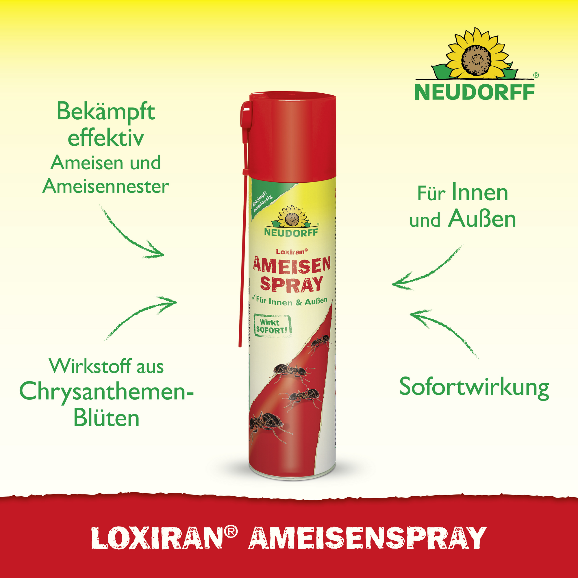 Ameisenspray 'Loxiran' 300 ml