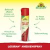 Ameisenspray 'Loxiran' 300 ml
