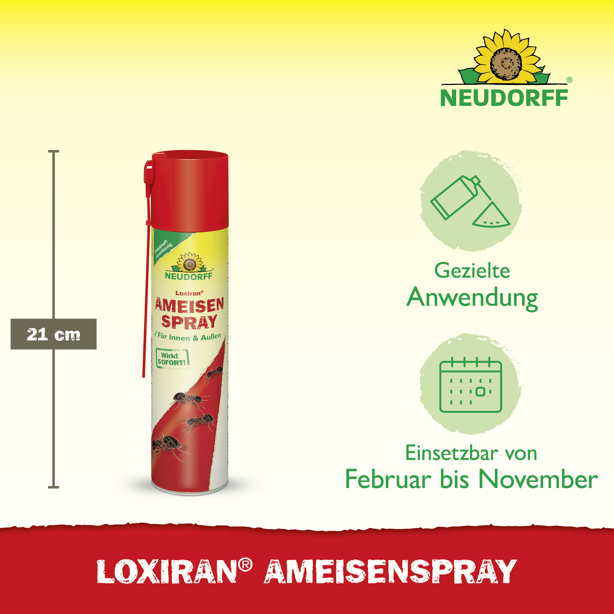 Ameisenspray 'Loxiran' 300 ml