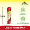 Ameisenspray 'Loxiran' 300 ml