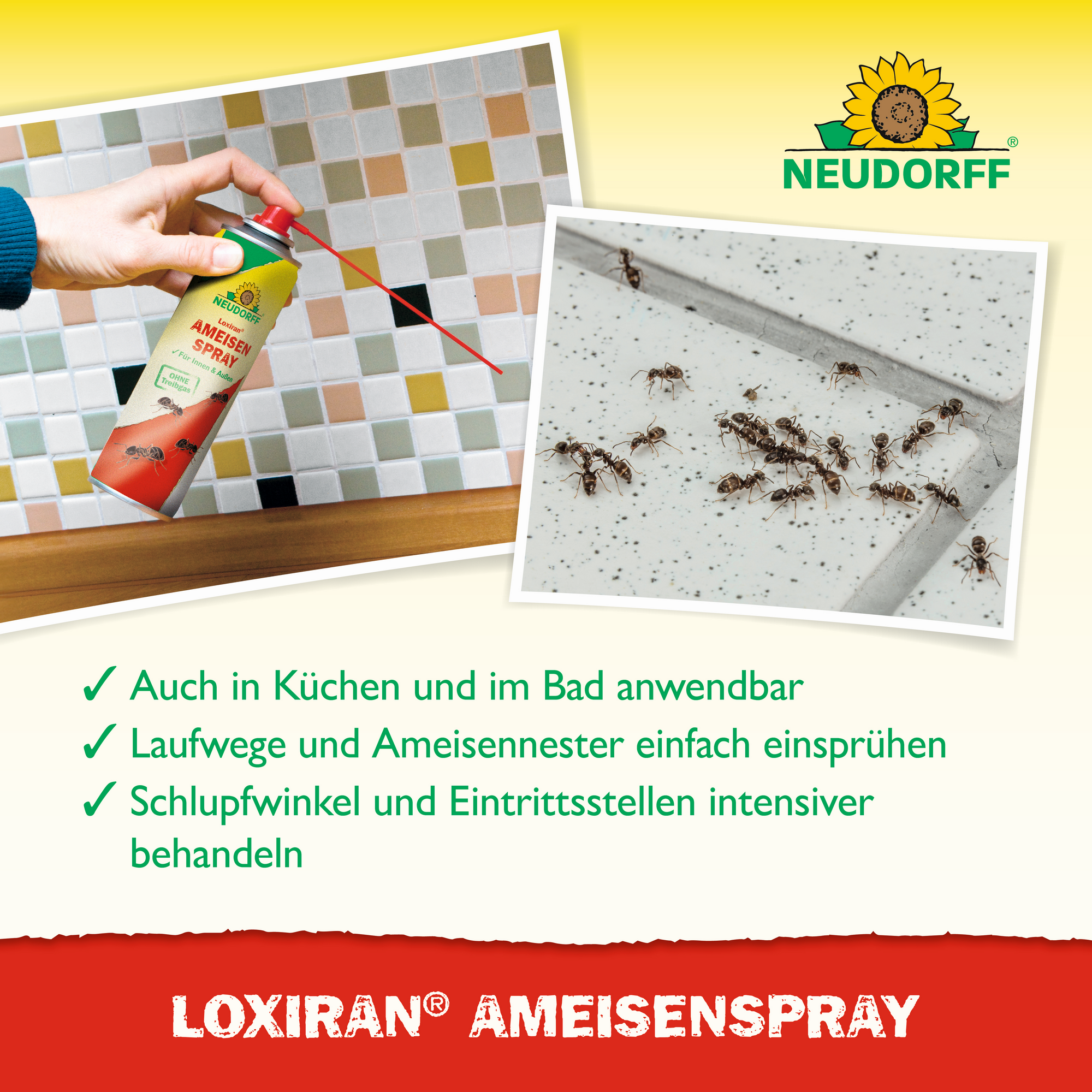 Ameisenspray 'Loxiran' 300 ml