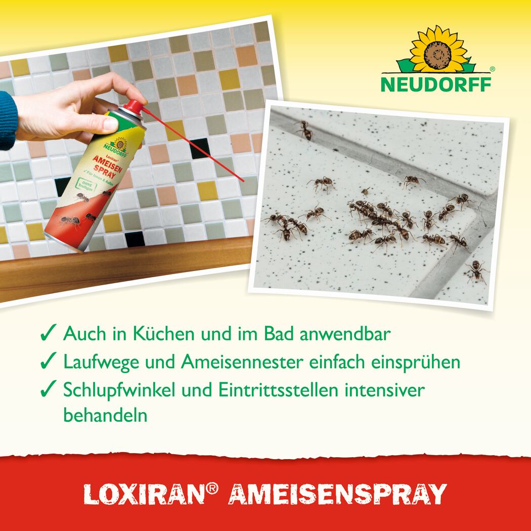 Ameisenspray 'Loxiran' 300 ml