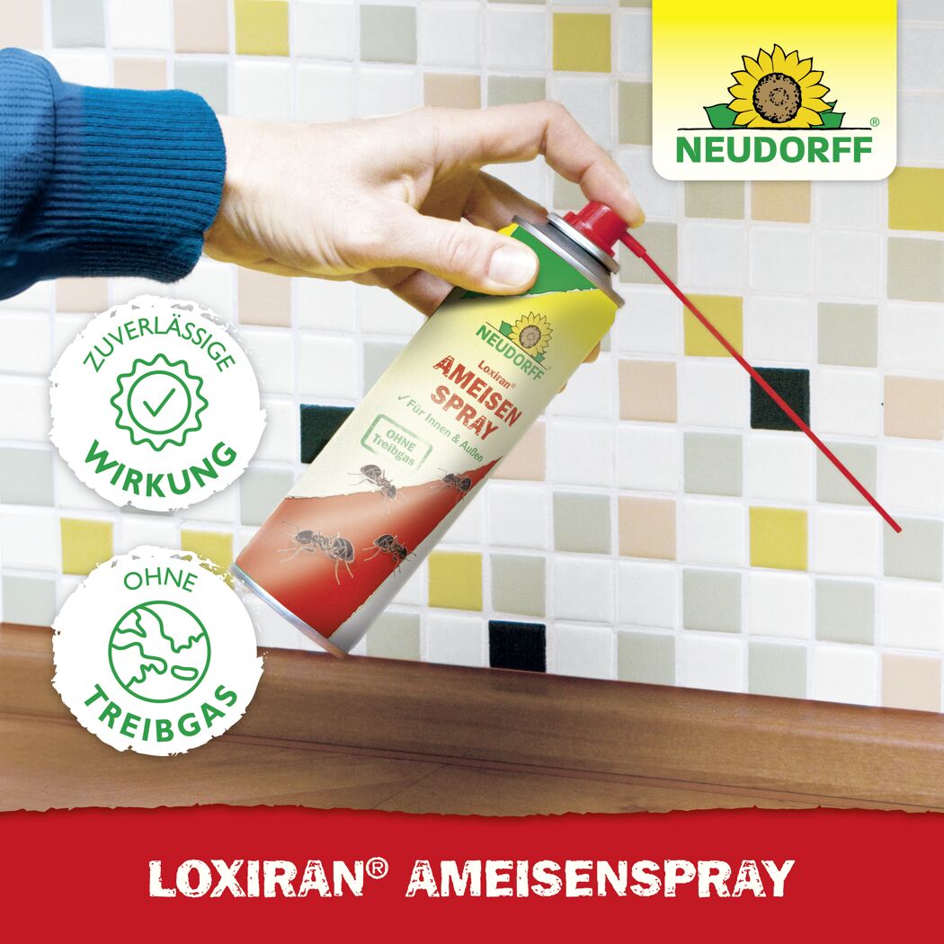Ameisenspray 'Loxiran' 300 ml