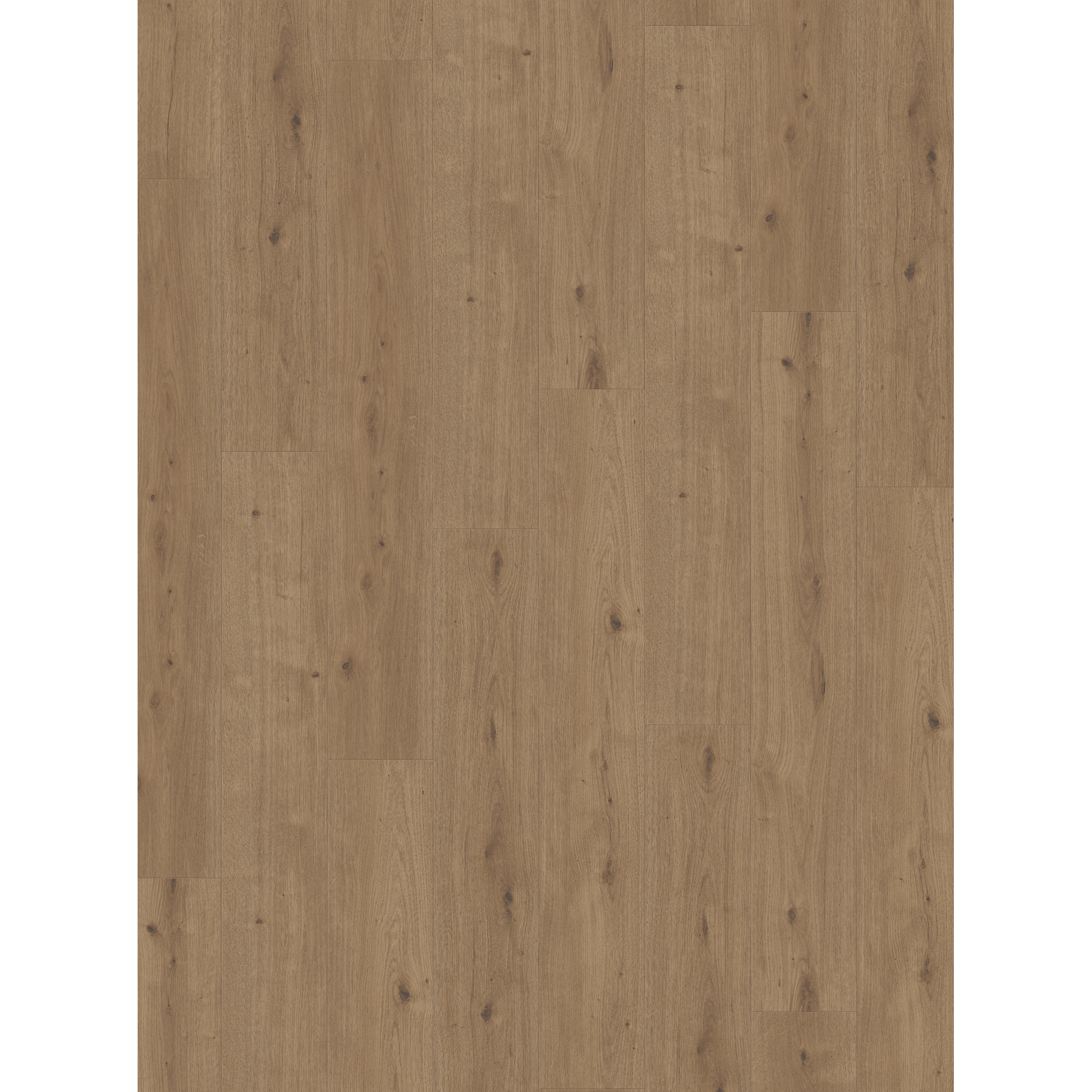 Designboden 'Modular ONE' Eiche Venturo braun 8 mm