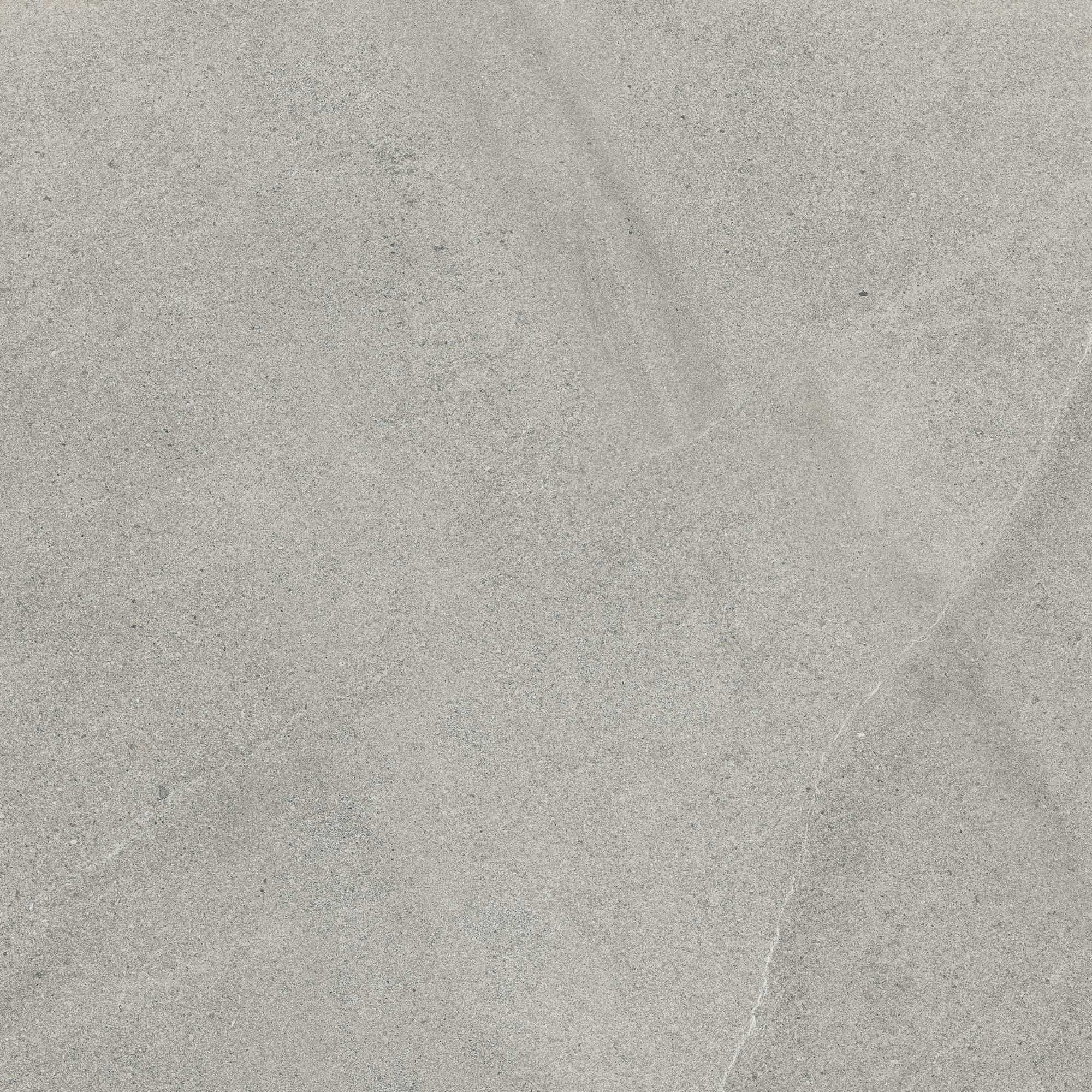 Bodenfliese 'Parko' Feinsteinzeug 60 x 60 cm grau