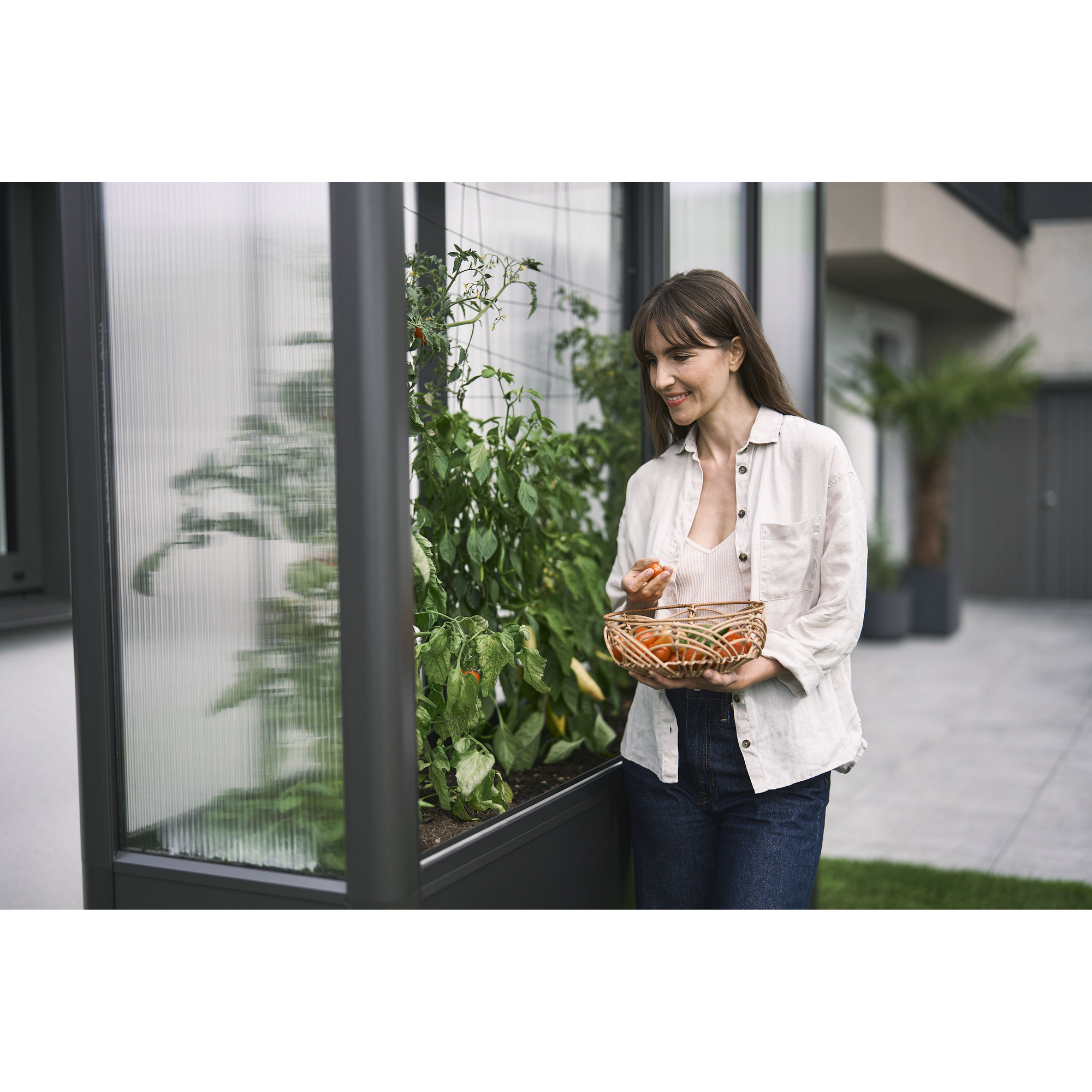 Hochbeet mit Gewächshaus 'Florentina Maxi' dunkelgrau metallic 201,6 x 213 x 54,7 cm