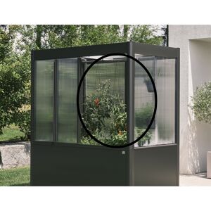 Rankhilfe zu Gewächshaus Florentina