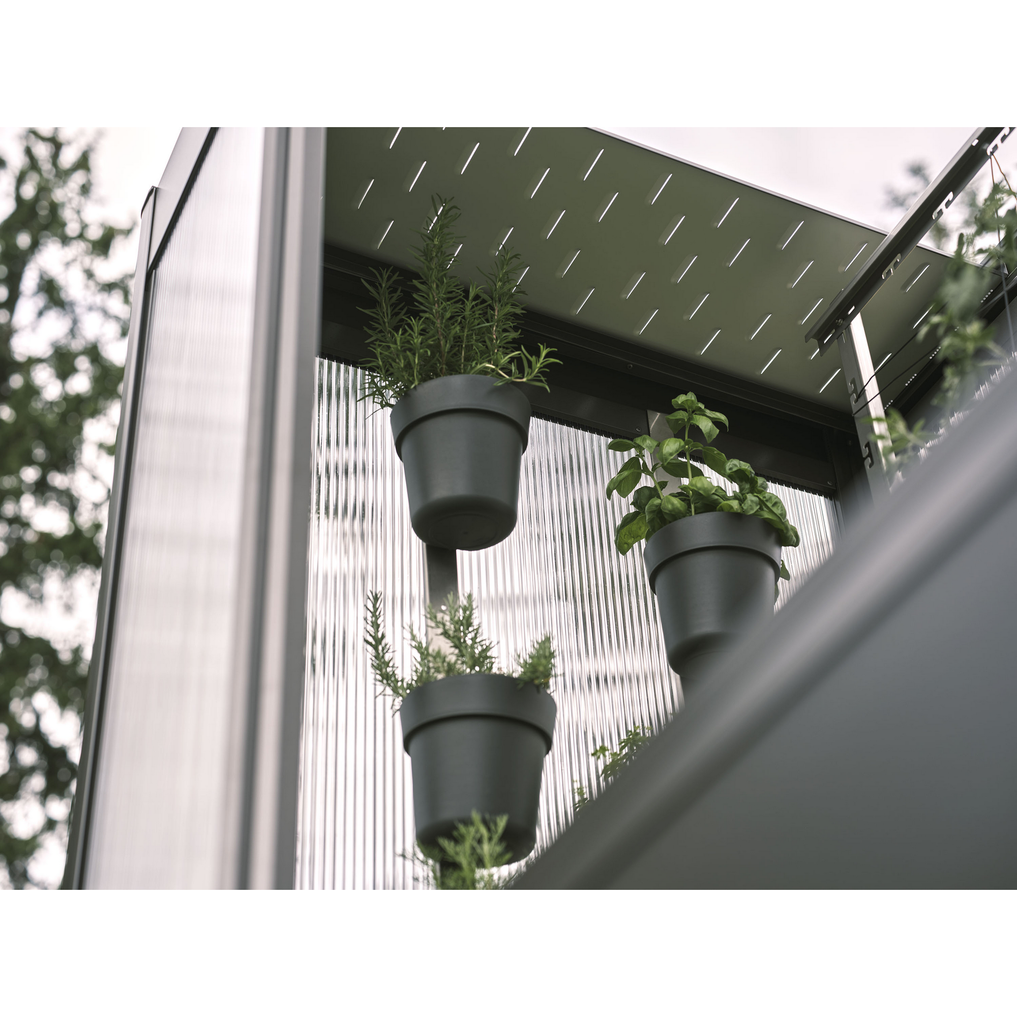 Pflanztopf-Set zu Gewächshaus Florentina 3 Stück