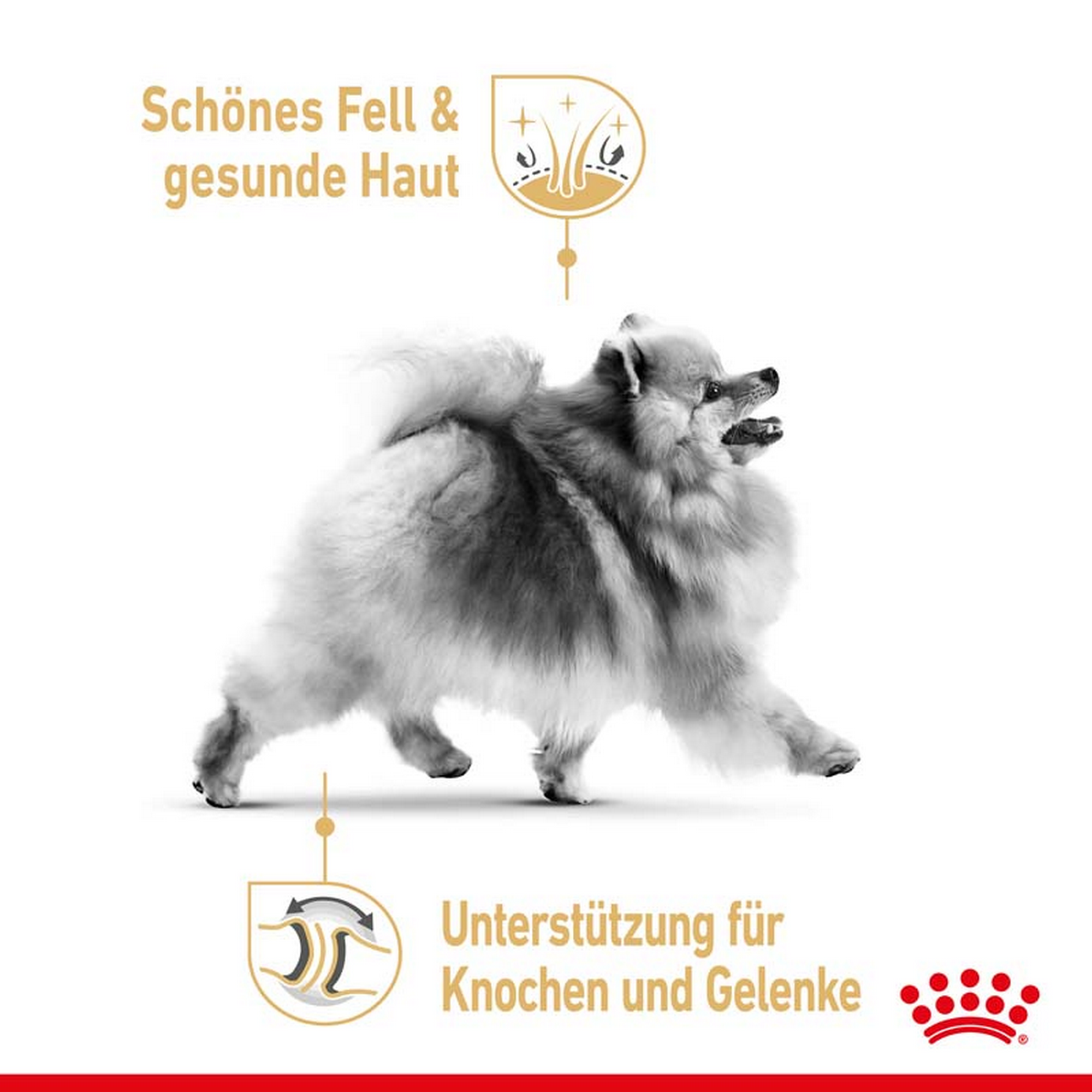 Hundetrockenfutter 'Pomeranian Adult' 1,5 kg